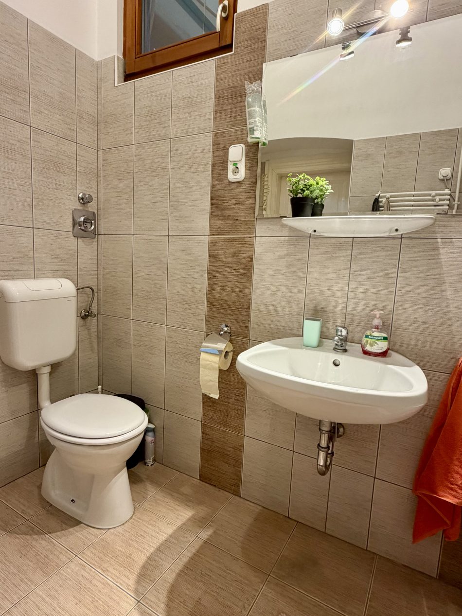 Shared bathroom(with 2 people)