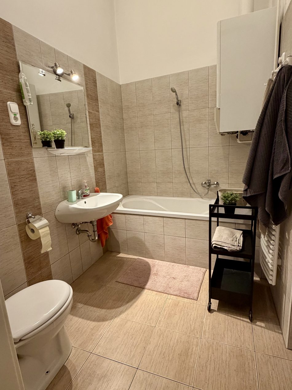 Shared bathroom(with 2 people)